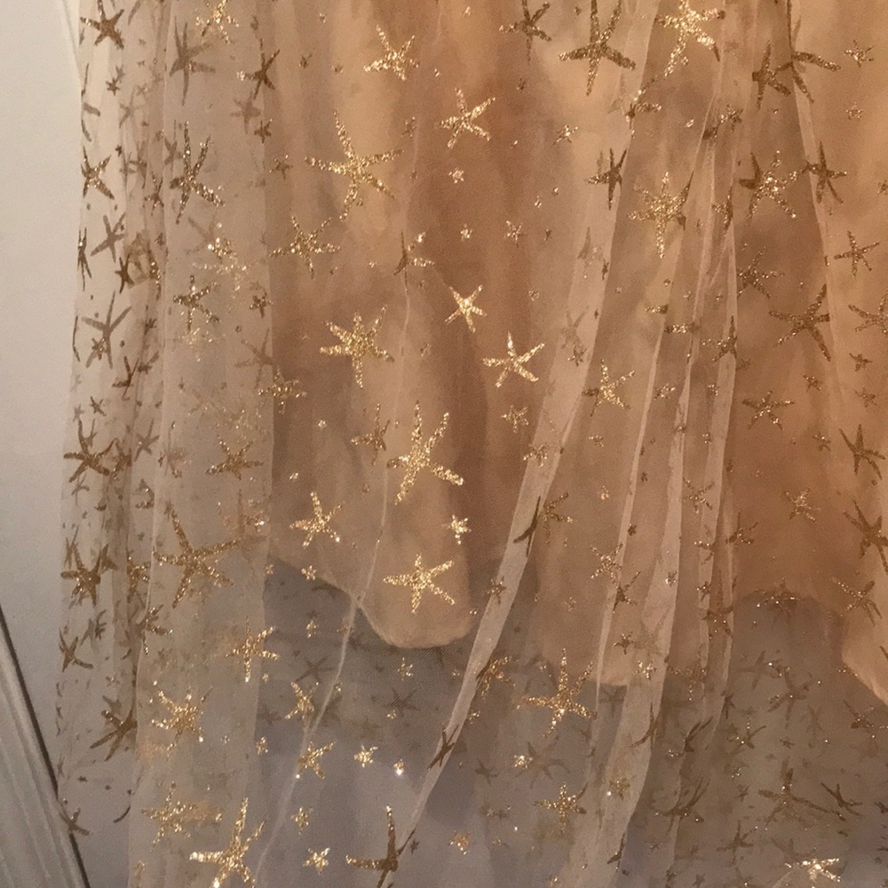 Anthropologie Eva Franco tulle Star ⭐️ skirt 6 💫 - Picture 7 of 7